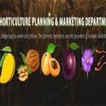 Key Vacant Posts Hamper Functioning of Horticulture Planning and Marketing Department
