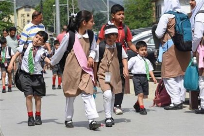 The Directorate of School Education Kashmir (DSEK) on Thursday announced summer vacation for all government and recognized private schools in the Kashmir division from July 1 to July 10.