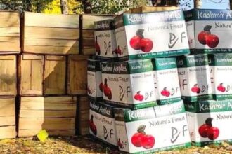 Over five lakh apple boxes shipped from Kashmir via Railways