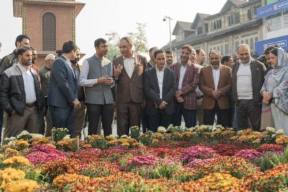 3,000 chrysanthemums turn Lal Chowk into autumn Bloom zone