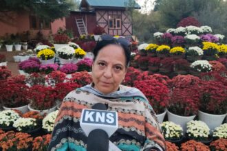 Chrysanthemum will take our season to the next level: Director Floriculture Mathoora Masoom