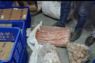 J&K Government Bans Sale of Unsafe Frozen and Chilled Meat Products
