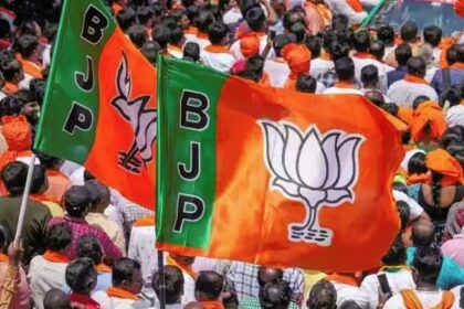 BJP Fields Aga Syed Mohsin, Devyani Rana for J-K By-Polls