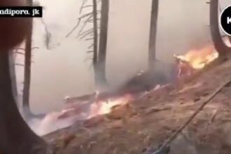 Five-day Gurez forest fire largely contained, devastation remains widespread