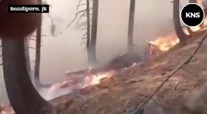 Five-day Gurez forest fire largely contained, devastation remains widespread