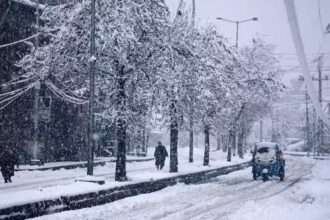 Light to moderate snow likely in Kashmir as western disturbance approaches
