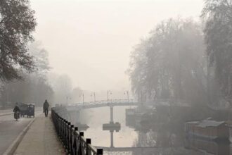 Biting cold grips Kashmir valley, Ladakh sees extreme lows