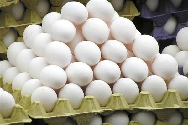 Egg Samples in Kashmir Pass Quality Tests, Says Food Safety Dept