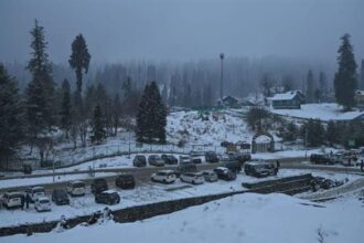 Pulwama coldest as night chill grips Kashmir Valley