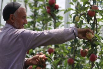 Horticulture generates Rs 10,000 crore annually, supports 35 lakh livelihoods in J&K