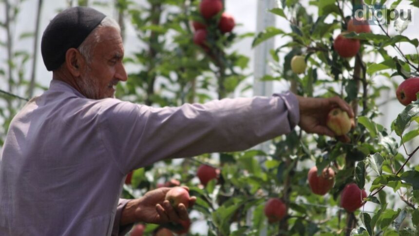 Horticulture generates Rs 10,000 crore annually, supports 35 lakh livelihoods in J&K