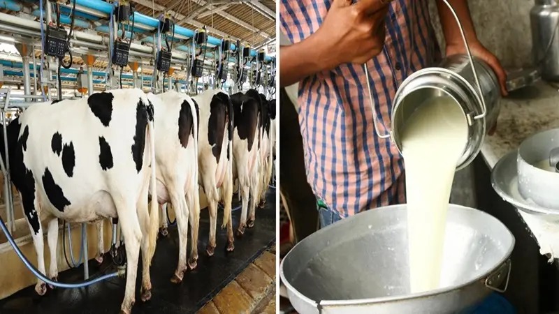 Livestock, fisheries sectors record steady growth; milk output nears 3.3 million tonnes target in J&K