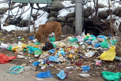 Sanitation Breakdown Plagues Beerwah, Sparks Health Fears