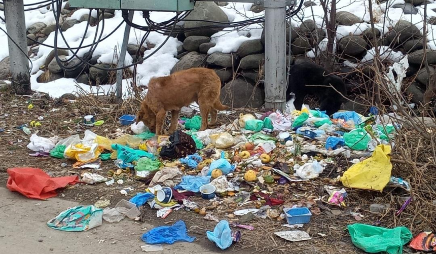 Sanitation Breakdown Plagues Beerwah, Sparks Health Fears