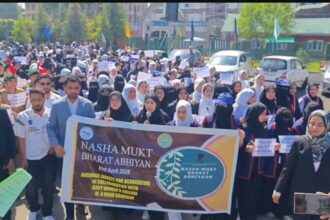 481 FIRs, 518 arrests in 22 days of J&K's anti-drug campaign